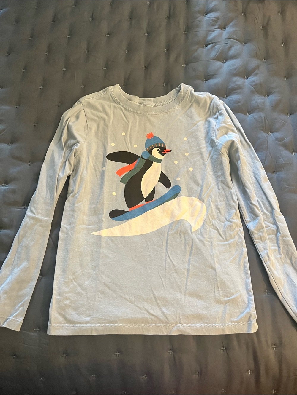 Hanna Andersson Light Blue Penguin Snowboarding Long-Sleeve Tee